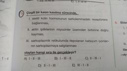 Sfat
E) T, II ve IIT
6. Ekler
1.
3. Çizgili bir kasin kasılma sürecinde,
1. asetil kolin hormonunun sarkolemmadaki reseptörlere
bağlanması,
II. aktin ipliklerinin miyozinler üzerinden birbirine doğru
kayması,
III. sarkoplazmik retikulumda depolanan kalsiyum iyonları-
nin sarkoplazmaya salgılanması
II.
III.
ifac
olayları hangi sıra ile gerçekleşir?
A) 1 - 11 - III B) |- |||- ||
1-4
C) || - III -
D) || - I - III
E) III - I - II