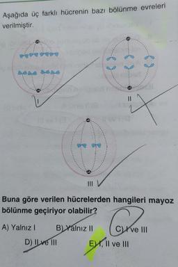 Aşağıda üç farklı hücrenin bazı bölünme evreleri
verilmiştir.
f &
II
III
Buna göre verilen hücrelerden hangileri mayoz
bölünme geçiriyor olabilir?
A) Yalnız!
B) Yalnız II
Crve III
D) IL ve 111
, Il ve III
