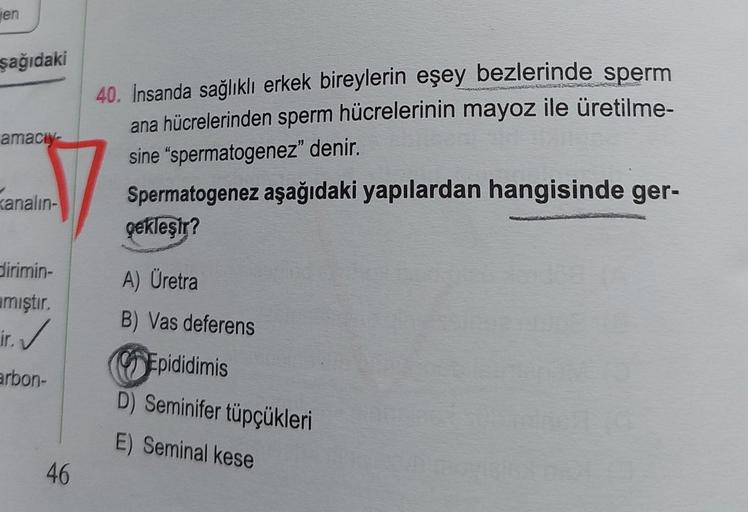 jen
şağıdaki
40. Insanda sağlıklı erkek bireylerin eşey bezlerinde sperm
ana hücrelerinden sperm hücrelerinin mayoz ile üretilme-
sine "spermatogenez" denir.
amacly-
kanalin-
Spermatogenez aşağıdaki yapılardan hangisinde ger-
gekleşir?
Slirimin-
amıştır.
A