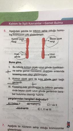 Kalıtım ile ilgili Kavramlar • Gamet Bulma
6. Aşağıdaki şekilde bir bitkinin sahip olduğu homo-
log kromozom çifti gösterilmiştir.
Kumizi çiçek
Beyaz çiçek
rengi
rengi
Kışa
gövde
Uzun
gövde
Buna göre,
I. Bu bitkide kırmızı çiçek-uzun gövde özellikleri-
+
ne sahip gamet hücresinin oluşması sırasında
krossing over olayı görülmüştür.
II. Kırmızı çiçek geni ile kısa gövde geni bağlı
genlerdir.
III. Krossing over görülmezse bu bitkinin gametle-
rinde beyaz çiçek-uzun gövde genlerinin bera-
ber bulunma olasılığı %25'tir.
yargılarından hangileri doğrudur?
A) Yalnız 11 B) Yalnız II C) I ve 11
D) Hve thit E) I, II ve III
7. Aşağıda bir hücrenin sahip olduğu kromozomlar
gösterilmiştir.
