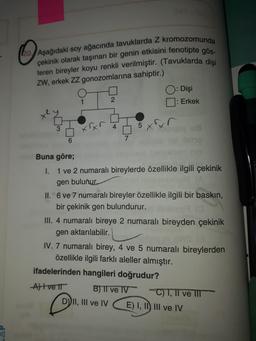 O
( 10. Aşağıdaki soy ağacında tavuklarda Z kromozomunda
çekinik olarak taşınan bir genin etkisini fenotipte gös-
teren bireyler koyu renkli verilmiştir
. (Tavuklarda dişi
ZW, erkek ZZ gonozomlarına sahiptir.)
O: Dişi
2
: Erkek
3
xxn
4
5 xxn
6
7
Buna göre;
I. 1 ve 2 numaralı bireylerde özellikle ilgili çekinik
gen bulunur.
II. 6 ve 7 numaralı bireyler özellikle ilgili bir baskin,
bir çekinik gen bulundurur.
III. 4 numaralı bireye 2 numaralı bireyden çekinik
gen aktarılabilir.
IV. 7 numaralı birey, 4 ve 5 numaralı bireylerden
özellikle ilgili farklı aleller almıştır.
ifadelerinden hangileri doğrudur?
A) ve 1
B) II ve IV
**C)T, II ve III
D) II, III ve IV E) I, II, III ve IV
