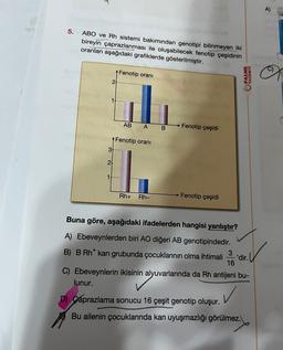 A)
5.
ABO ve Rh sistemi bakımından genotipi bilinmeyen iki
bireyin çaprazlanması ile oluşabilecek fenotip çeşidinin
oranları aşağıdaki grafiklerde gösterilmiştir.
Fenotip orani
PALME
YAYINEVI
21
1
AB
A B
Fenotip çeşidi
1 Fenotip orani
37.
2
1
Rh+
Rh-
Fenotip çeşidi
Buna göre, aşağıdaki ifadelerden hangisi yanlıştır?
A) Ebeveynlerden biri AO diğeri AB genotipindedir.
3
B) B Rh kan grubunda çocuklarının olma ihtimali 'dir. U
16
C) Ebeveynlerin ikisinin alyuvarlarında da Rh antijeni bu-
lunur.
✓
D) Çaprazlama sonucu 16 çeşit genotip oluşur.
Bu ailenin çocuklarında kan uyuşmazlığı görülmez.