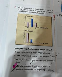 A)
5.
ABO ve Rh sistemi bakımından genotipi bilinmeyen iki
bireyin çaprazlanması ile oluşabilecek fenotip çeşidinin
oranları aşağıdaki grafiklerde gösterilmiştir.
Fenotip orani
PALME
YAYINEVI
21
1
AB
A B
Fenotip çeşidi
1 Fenotip orani
37.
2
1
Rh+
Rh-
Fenotip çeşidi
Buna göre, aşağıdaki ifadelerden hangisi yanlıştır?
A) Ebeveynlerden biri AO diğeri AB genotipindedir.
3
B) B Rh kan grubunda çocuklarının olma ihtimali 'dir. U
16
C) Ebeveynlerin ikisinin alyuvarlarında da Rh antijeni bu-
lunur.
✓
D) Çaprazlama sonucu 16 çeşit genotip oluşur.
Bu ailenin çocuklarında kan uyuşmazlığı görülmez.
