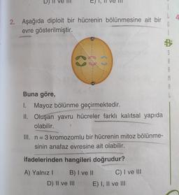 2.
Aşağıda diploit bir hücrenin bölünmesine ait bir
evre gösterilmiştir.
L 4
G
ch
ed
Buna göre,
1. Mayoz bölünme geçirmektedir.
II. Oluşan yavru hücreler farklı kalıtsal yapıda
olabilir.
III. n = 3 kromozomlu bir hücrenin mitoz bölünme-
sinin anafaz evresine ait olabilir.
ifadelerinden hangileri doğrudur?
A) Yalnız! B) I ve II
C) I ve III
D) II ve II
E) I, II ve III
