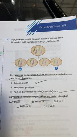 in FABER CASTELL
Kazandıran Yeni Nesil
SMES
e
8.
Aşağıdaki şemada bir hücrenin mayoz bölünmesi sonucu
birbirinden farklı gametlerin oluştuğu görülmektedir.
Danma
Dabond
DOIDODO
un
DOOD
DOO
A
B
Bu bölünme sonucunda A ve B hücrelerinin birbirin.
den farklı olmasına:
1. krossing over,
II. sentromer yarılması,
III. homolog kromozomların bağımsız dağılımı
olaylarından hangilerinin gerçekleşmesi neden olmustur?
A) Yalniz
B). Yalniz TT C) I ve II
E) I, II ve III
ĐTI ve III
