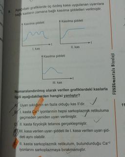 Asagidaki grafiklerde üç özdeş kasa uygulanan uyarılara
bağlı kasların zamana bağlı kasılma şiddetleri verilmiştir.
Kasılma şiddeti
Kasılma şiddeti
II. kas
I. kas
Kasılma şiddeti
FUNDAMentals Biyoloji
III. kas
Numaralandırılmış olarak verilen grafiklerdeki kaslarla
ilgili aşağıdakilerden hangisi yanlıştır?
11
A) Uyarı sıklığının en fazla olduğu kas Il'dir.
B) 1. kasta Cat2 iyonlarının hepsi sarkoplazmik retikuluma
geçmeden yeniden uyarı verilmiştir.
II. kasta fizyolojik tetanos gerçekleşmiştir.
III
. kasa verilen uyarı şiddeti ile I. kasa verilen uyarı şid-
deti aynı olabilir.
II. kasta sarkoplazmik retikulum, bulundurduğu Cat2
iyonlarını sarkoplazmaya bırakmamıştır.