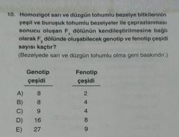 10. Homozigot sarı ve düzgün tohumlu bezelye bitkilerinin
yeşil ve buruşuk tohumlu bezelyeler ile çaprazlanması
sonucu oluşan F, dölünün kendileştirilmesine bağlı
olarak F, dölünde oluşabilecek genotip ve fenotip çeşidi
sayısı kaçtır?
(Bezelyede sarı ve düzgün tohumlu olma geni baskındır.)
2
Fenotip
Genotip
çeşidi
çeşidi
A)
8
2
8
4
9
4
B)
C)
D)
E)
16
8
27
9
