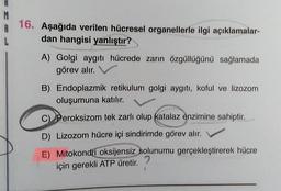 16. Aşağıda verilen hücresel organellerle ilgi açıklamalar-
dan hangisi yanlıştır?
A) Golgi aygıtı hücrede zarın özgüllüğünü sağlamada
görev alır.
B) Endoplazmik retikulum golgi aygıtı, koful ve lizozom
oluşumuna katılır.
C) Peroksizom tek zarlı olup katalaz enzimine sahiptir.
D) Lizozom hücre içi sindirimde görev alır.
E) Mitokondri oksijensiz solunumu gerçekleştirerek hücre
için gerekli ATP üretir.
