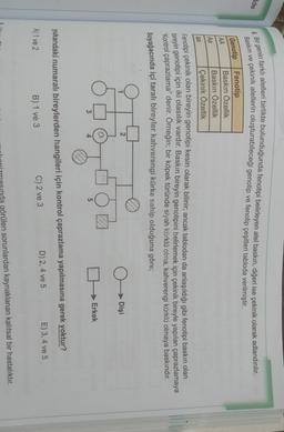 Ide
Baskın ve
8. Bir genin farklı alelleri birlikte bulunduğunda fenotipi belirleyen alel baskın, diğeri ise çekinik olarak adlandırılır.
çekinik alellerin oluşturabileceği genotip ve fenotip çeşitleri tabloda verilmiştir.
Fenotip
Baskın Özellik
Baskın Özellik
Çekinik Özellik
Genotip
AA
Aa
aa
Fenotipi çekinik olan bireyin genotipi kesin olarak bilinir; ancak tablodan da anlaşıldığı gibi fenotipi baskın olan
bireyin genotipi için iki olasılık vardır. Baskın bireyin genotipini belirlemek için çekinik bireyle yapılan çaprazlamaya
Kontrol çaprazlama" denir. Örneğin; bir köpek türünde siyah kürklü olma, kahverengi kürklü olmaya baskındır.
soyağacında içi taralı bireyler kahverengi kürke sahip olduğuna göre;
2
Dişi
Erkek
3
5
yukarıdaki numaralı bireylerden hangileri için kontrol çaprazlama yapılmasına gerek yoktur?
E) 3, 4 ve 5
D) 2, 4 ve 5
A) 1 ve 2
C) 2 ve 3
B) 1 ve 3
görülen sorunlardan kaynaklanan kalıtsal bir hastalıktır.
