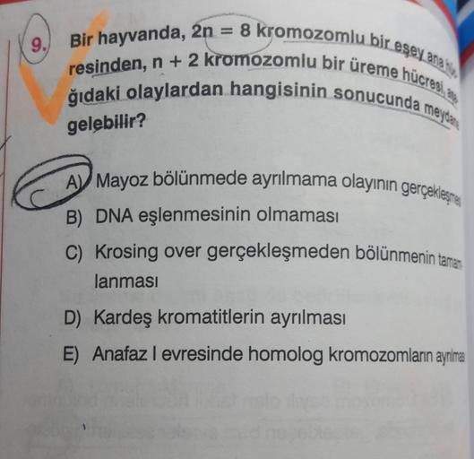 9.
Bir hayvanda, 2n = 8 kromozomlu bir eşey ana si
resinden, n + 2 kromozomlu bir üreme hücresi, a
ğıdaki olaylardan hangisinin sonucunda meydana
gelebilir?
CA
A) Mayoz bölünmede ayrılmama olayının gerçekleşme
B) DNA eşlenmesinin olmaması
C) Krosing over g