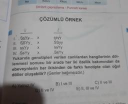 ku
KKUU
Kkuu
kkuu
kkuu
Dihibrit çaprazlama - Punnett karesi
ÇÖZÜMLÜ ÖRNEK
a
3
şsyy
X
X
1. SsYyx
IL $SYy.
SSyy
III. ssYy
ssey
IV. SsYy X SsYy
Yukarıda genotipleri verilen canlılardan hangilerinin döl-
lenmesi sonucu bir arada her iki özellik bakımından da
ebeveynlerin her ikisinden de farklı fenotipte olan oğul
döller oluşabilir? (Genler bağımsızdır.)
A) Yalnız IV
B) I ve III
C) II ve III
E) II, III ve IV
D) II ve IV
or