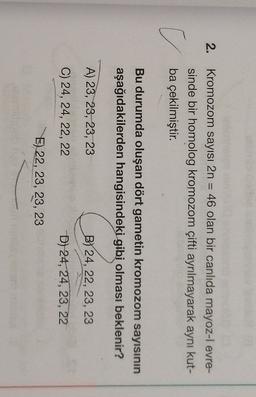 2.
Kromozom sayısı 2n = 46 olan bir canlıda mayoz-I evre-
sinde bir homolog kromozom çifti ayrılmayarak aynı kut-
ba çekilmiştir.
o
Bu durumda oluşan dört gametin kromozom sayısının
aşağıdakilerden hangisindeki gibi olması beklenir?
A) 23, 23, 23, 23
Co/2a, 2
BY 24, 22, 23, 23
C) 24, 24, 22, 22
D) 24, 24, 23, 22
E) 22, 23, 23, 23
