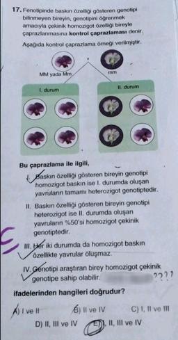 17. Fenotipinde baskın özelliği gösteren genotipi
bilinmeyen bireyin, genotipini öğrenmek
amacıyla çekinik homozigot özelliği bireyle
çaprazlanmasına kontrol çaprazlaması denir.
Aşağıda kontrol çaprazlama örneği verilmiştir.
mm
MM yada Mm
II. durum
1. durum
Bu çaprazlama ile ilgili,
Saskın özelliği gösteren bireyin genotipi
homozigot baskın ise I. durumda oluşan
yavruların tamamı heterozigot genotiptedir.
II. Baskın özelliği gösteren bireyin genotipi
heterozigot ise II. durumda oluşan
yavruların %50'si homozigot çekinik
genotiptedir
III. Her iki durumda da homozigot baskın
özellikte yavrular oluşmaz.
IV. Genotipi araştıran birey homozigot çekinik
genotipe sahip olabilir
2221
ifadelerinden hangileri doğrudur?
Ali ve 11 b) Il ve IV
C) I, II ve III
D) II, III ve IV
II, III ve IV