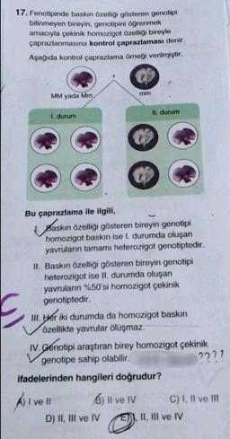 17. Fenotipinde baskın özelliği gösteren genotipi
bilinmeyen bireyin, genotipini öğrenmek
amacıyla çekinik homozigot özelliği bireyle
çaprazlanmasına kontrol çaprazlaması denir.
Aşağıda kontrol çaprazlama örneği verilmiştir.
mm
MM yada Mm
II. durum
1. durum
Bu çaprazlama ile ilgili,
Saskın özelliği gösteren bireyin genotipi
homozigot baskın ise I. durumda oluşan
yavruların tamamı heterozigot genotiptedir.
II. Baskın özelliği gösteren bireyin genotipi
heterozigot ise II. durumda oluşan
yavruların %50'si homozigot çekinik
genotiptedir
III. Her iki durumda da homozigot baskın
özellikte yavrular oluşmaz.
IV. Genotipi araştıran birey homozigot çekinik
genotipe sahip olabilir
2221
ifadelerinden hangileri doğrudur?
Ali ve 11 b) Il ve IV
C) I, II ve III
D) II, III ve IV
II, III ve IV
