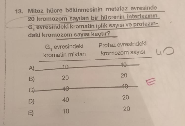 13. Mitoz hücre bölünmesinin metafaz evresinde
20 kromozom sayılan bir hücrenin interfazının
G, evresindeki kromatin iplik sayısı ve profazin-
daki kromozom sayısı kaçtır?
G, evresindeki Profaz evresindeki
kromatin miktarı kromozom sayısı