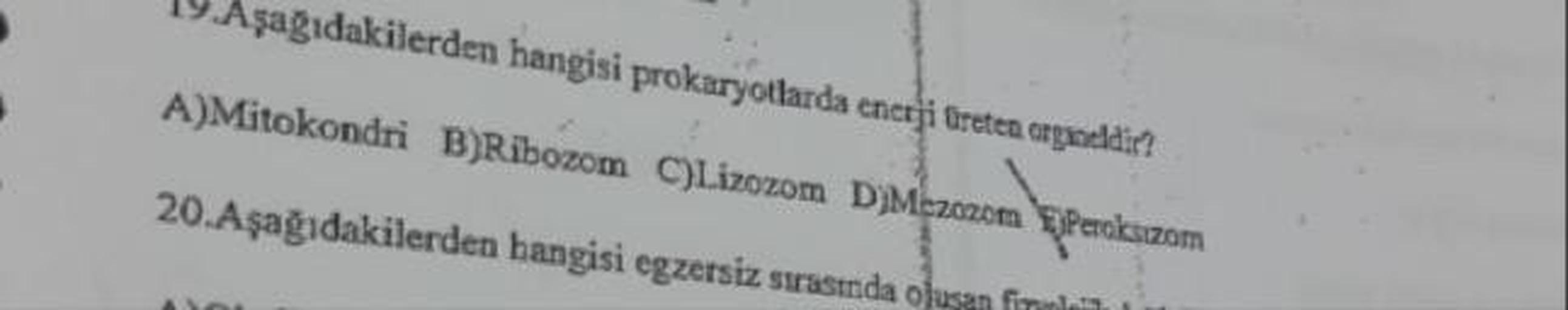 19. Aşağıdakilerden hangisi prokuryotlarda enerji Greten opzeldir?!
A)Mitokondri B)Ribozom
C)Lizozom DMezozom Eperokszom
20. Aşağıdakilerden hangisi egzersiz sırasında olusan full
