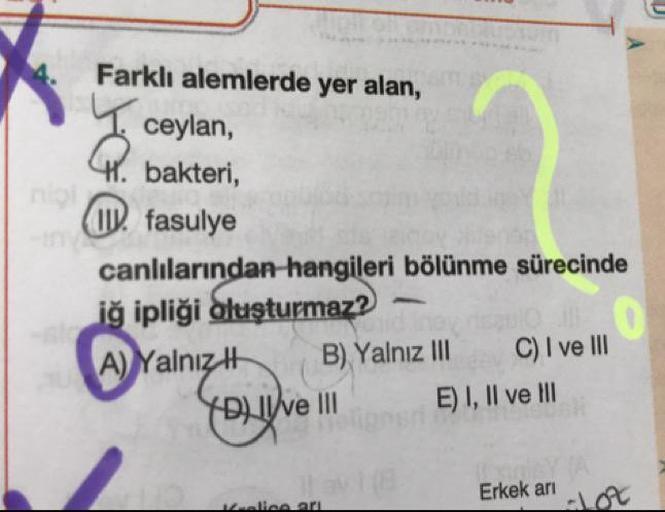 Farklı alemlerde yer alan,
1 ceylan,
bakteri,
(II. fasulye
canlılarından hangileri bölünme sürecinde
iğ ipliği oluşturmaz? –
A) Yalnıztt B) Yalnız III C) I ve III
Pulve I EI, Il ve III
Erkek ari-LOC
ام معنا