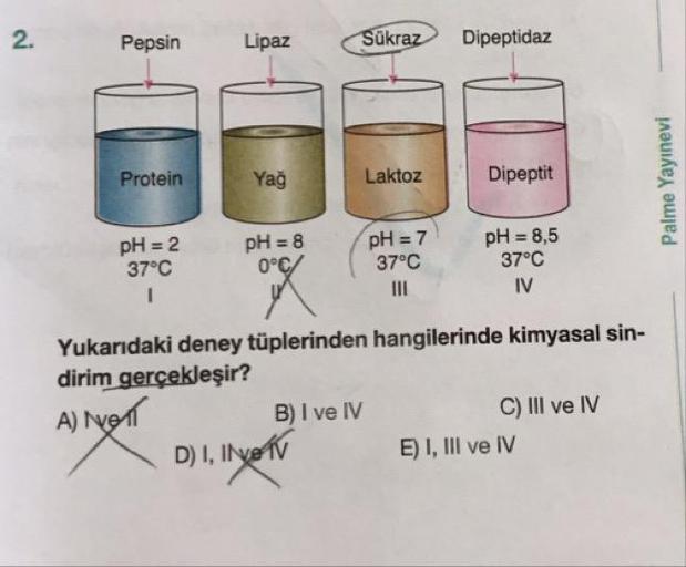 Pepsin
Lipaz
Sükraz
Dipeptidaz
Protein
Yağ
Laktoz
Dipeptit
Palme Yayınevi
(pH = 7
pH =2
37°C
pH = 8
0°C
37°C
pH = 8,5
37°C
IV
Yukarıdaki deney tüplerinden hangilerinde kimyasal sin-
dirim gercekleşir?
A) voll
B) I ve IV
C) III ve IV
D) I, INYO TV E) I, III