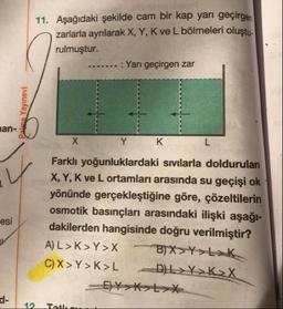 11. Aşağıdaki şekilde cam bir kap yarı geçirge
zarlarla ayrılarak X, Y, K ve L bölmeleri olustu
rulmuştur.
.. .: Yarı geçirgen zar
Palme Yayınevi
nan-
к
Farklı yoğunluklardaki sıvılarla doldurulan
X, Y, K ve L ortamları arasında su geçişi ok!
yönünde gerçekleştiğine göre, çözeltilerin
osmotik basınçları arasındaki ilişki aşağı-
dakilerden hangisinde doğru verilmiştir?
A) L» K>Y=X (B) XxY> LK
C) X>Y>k>L -D) L>Y>K2X
esi
12
That
