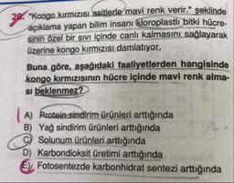 20. "Kongo kırmızısı asitlerle mavi renk verir." şeklinde
açıklama yapan bilim insanı kloroplastli bitki hücre
sinin özel bir sivi içinde canlı kalmasını sağlayarak
üzerine kongo kırmızısı damlatıyor.
Buna göre, aşağıdaki faaliyetlerden hangisinde
kongo kırmızısının hücre içinde mavi renk alma-
si beklenmez?
A) Protein sindirim ürünleri arttığında
B) Yağ sindirim ürünleri arttığında
you o
() Solunum ürünleri arttığında
D) Karbondioksit üretimi arttığında
E) Fotosentezde karbonhidrat sentezi arttığında
