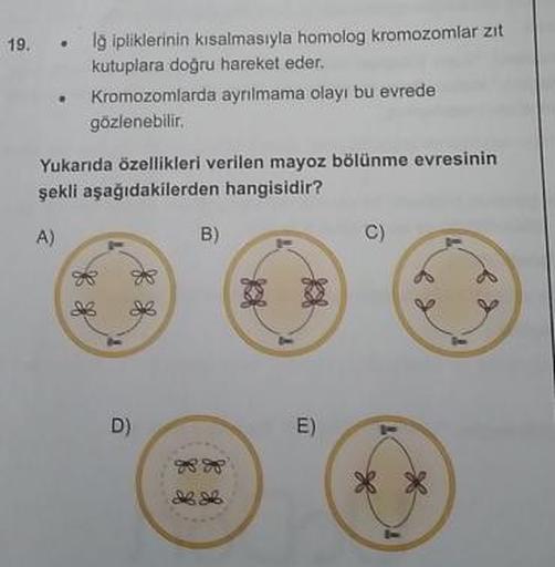 19.
.
ipliklerinin kısalmasıyla homolog kromozomlar zit
kutuplara doğru hareket eder.
Kromozomlarda ayrılmama olayı bu evrede
gözlenebilir.
Yukarıda özellikleri verilen mayoz bölünme evresinin
şekli aşağıdakilerden hangisidir?
B)
*
&