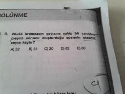 TÖLÜNME
8. 2n=64 kromozom sayısına sahip bir canli
mayoz sonucu oluşturduğu spermin. otozom
sayısı kaçtır?
A) 32B) 31 C) 30 D) 62 E) 60
Lalin.