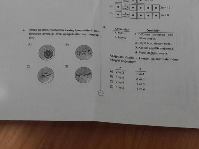 moz
2.
Mitoz geçiren hücredeki kardeş kromatitlerin bir
birinden aynldığı evre aşağıdakilerden hangisi.
dir?
Kavramlar
Özellikler
a. Mitoz 1. Bolnme sonunda dört
b. Mayoz
hücre oluşur.
2. Hayat boyu devam eder..
3. Kalitsal çeşitlilik saglamaz.
4. Parça de