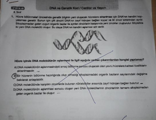 DNA ve Genetik Kod / Canhtar ve Yaşam 6. Sin 1. Hüc... - Biyoloji