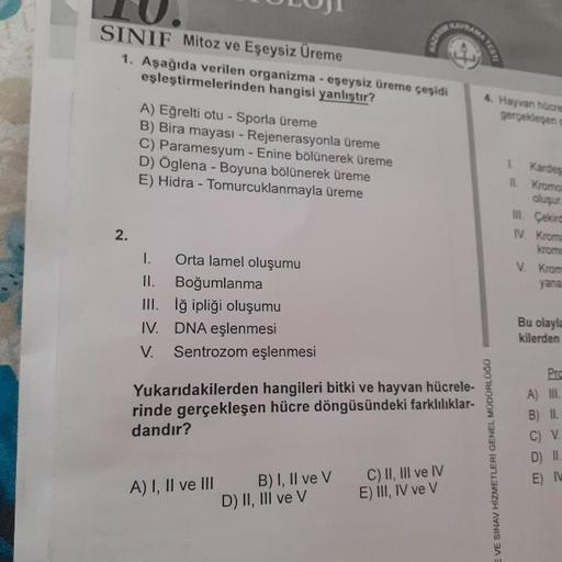 TULUI
SINIF Mitoz ve Eşeysiz Üreme
1. Aşağıda verilen organizma - eşeysiz üreme çeşidi
eşleştirmelerinden hangisi yanlıştır?
4. Hayvan haare
gerçekleyen
A) Eğrelti otu - Sporla üreme
B) Bira mayası - Rejenerasyonla üreme
C) Paramesyum - Enine bölünerek Üre