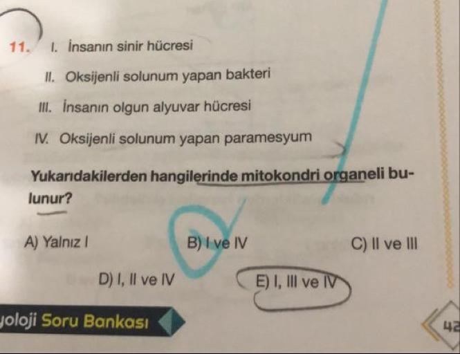 11.
1. İnsanın sinir hücresi
II. Oksijenli solunum yapan bakteri
III. İnsanın olgun alyuvar hücresi
IV. Oksijenli solunum yapan paramesyum
Yukarıdakilerden hangilerinde mitokondri organeli bu-
lunur?
A) Yalnız!
B) I ve IV
C) Il ve III
D) I, II ve IV
E) I, 