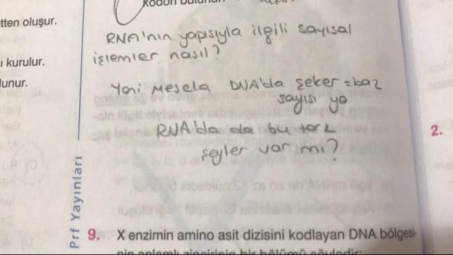 ROQUIT DUINUN
tten oluşur.
RNA'nin yapısıyla ilgili sayısal
kurulur.
işlemler nasıl?
lunur.
Yoni Mesela DNA'da seker =baz
lv
sayist you
RNA de la bu tor
var mi?
-
dan
Prf Yayınları
9. Xenzimin amino asit dizisini kodlayan DNA bölgesi-
ااااااااص