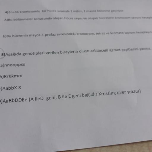 4)2n-36 kromozomlu bir hücre sirasyla 2 mitoz, 1 mayor bolonme geciryor
A)Bu bölünmeler sonucunda oluşan hücre sayısı ve oluşan hücrelerin kromosom sayesns hesapla
b)Bu hücrenin mayoz-1 profaz evresindeki kromozom, tetrat ve kromatit saysns hesaplayıns
5)A