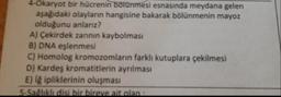 4-Ökaryot bir hücrenin bölünmesi esnasında meydana gelen
aşağıdaki olayların hangisine bakarak bölünmenin mayoz
olduğunu anlarız?
A) Çekirdek zarının kaybolması
B) DNA eşlenmesi
C) Homolog kromozomların farklı kutuplara çekilmesi
D) Kardeş kromatitlerin ayrılması
E) İğ ipliklerinin oluşması