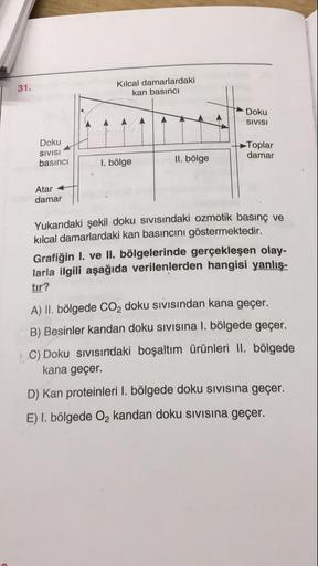 Kılcal damarlardaki
kan basıncI
31.
Doku
SIVISI
Doku
Toplar
damar
SIVISI
basıncı
I. bölge
II. bölge
Atar
damar
Yukarıdaki şekil doku sıvısındaki ozmotik basınç ve
kılcal damarlardaki kan basıncını göstermektedir.
Grafiğin I. ve Il. bölgelerinde gerçekleşen