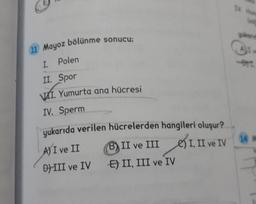 EM
11 Mayoz bolunme sonucu:
1. Polen
II. Spor
VII. Yumurta ana hücresi
IV. Sperm
yukarıda verilen hücrelerden hangileri oluşur?
A) I ve II (B) II ve III ) I, II ve IV
D) III ve IVE) II, III ve IV