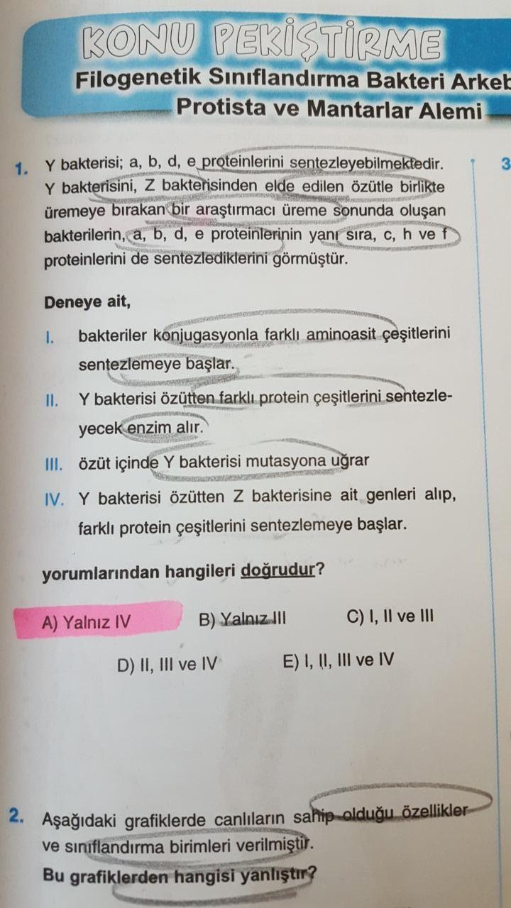 KONU PEK T RME Filogenetik S n fland rma Bakteri A Biyoloji