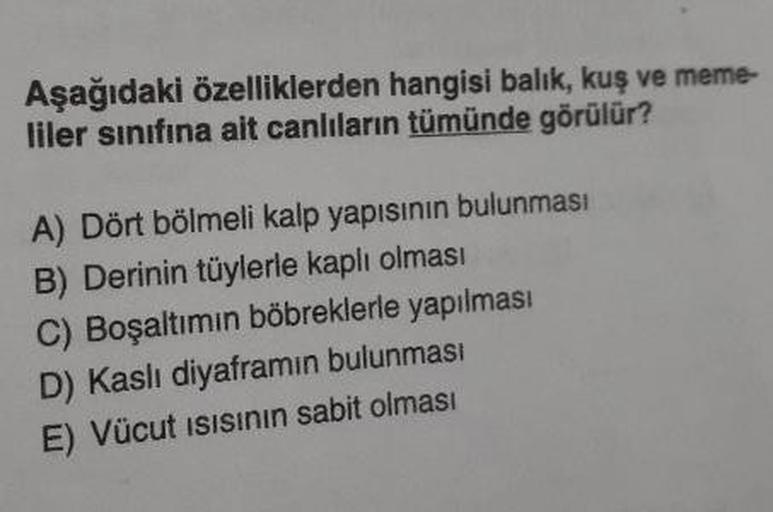 Aşağıdaki özelliklerden hangisi balik, kuş ve meme-
liler sınıfına ait canlıların tümünde görülür?
A) Dört bölmeli kalp yapısının bulunması
B) Derinin tüylerle kaplı olması
C) Boşaltımın böbreklerle yapılması
D) Kaslı diyaframın bulunması
E) Vücut isisinin