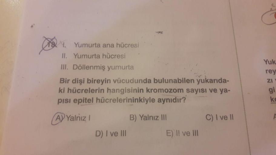 Yuk
78 . Yumurta ana hücresi
II. Yumurta hücresi
III. Döllenmiş yumurta
Bir dişi bireyin vücudunda bulunabilen yukarıda-
ki hücrelerin hangisinin kromozom sayısı ve ya-
pisi epitel hücrelerininkiyle aynıdır?
rey
ZI
gi
(A) Yalnız!
C) I ve II
B) Yalnız III
D