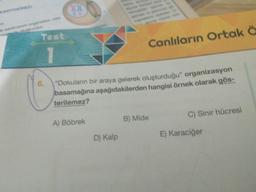 Canlıların Ortak ö
"Dokuların bir araya gelerek oluşturduğu” organizasyon
basamağına aşağıdakilerden hangisi örnek olarak gös-
terilemez?
C) Sinir hücresi
B) Mide
A) Böbrek
D) Kalp
E) Karaciğer