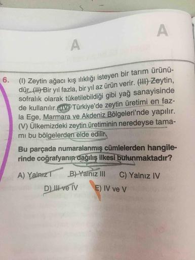 (1) Zeytin ağacı kis ilıklığı isteyen bir tarım ürünü-
dur. (11) Bir yıl fazla, bir yıl az ürün verir. (H) Zeytin,
sofralık olarak tüketilebildiği gibi yağ sanayisinde
de kullanılır. (IVTürkiye'de zeytin üretimi en faz-
la Ege, Marmara ve Akdeniz Bölgeleri