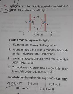 4.
Aşağıda canlı bir hücrede gerçekleşen madde ta-
şıními olayı şematize edilmiştir.
XX
TX
A Hücre zarı B
Verilen madde taşınımı ile ilgili;
I. Şematize edilen olay aktif taşımadır.
II. A ortamı hücre dışı olup X maddesi hücre di-
şından hücre içerisine alınmaktadır.
III. Verilen madde taşınması sırasında ortamdaki
ADP miktarı artar.
IV. X maddesinin A ortamındaki yoğunluğu, B or-
tamındaki yoğunluğundan fazladır.
ifadelerinden hangilerinin doğruluğu kesindir?
A) Yalnız IV B) I ve !
D) Il ve IV
C) Il ve III
E) 1, II ve III
