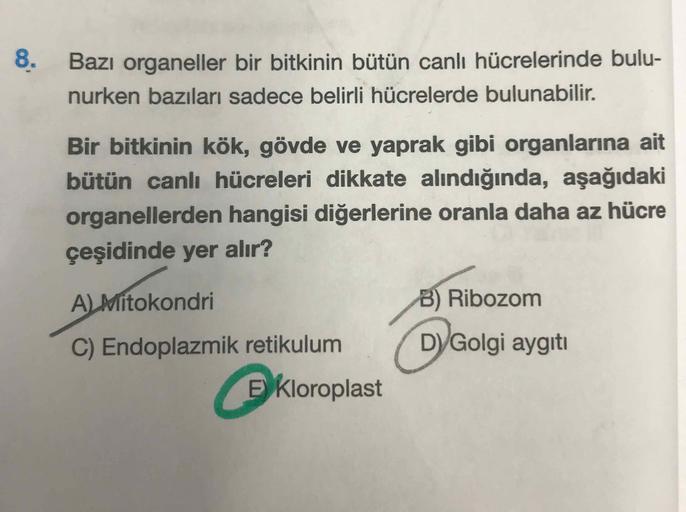 Bazı organeller bir bitkinin bütün canlı hücrelerinde bulu-
nurken bazıları sadece belirli hücrelerde bulunabilir.
Bir bitkinin kök, gövde ve yaprak gibi organlarına ait
bütün canlı hücreleri dikkate alındığında, aşağıdaki
organellerden hangisi diğerlerine