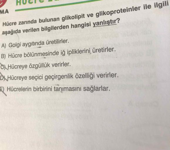 HUCIC
MA
Hücre zarında bulunan glikolipit ve glikoproteinler ile ilgili
aşağıda verilen bilgilerden hangisi yanlıştır?
A) Golgi aygıtında üretilirler.
B) Hücre bölünmesinde iş ipliklerini üretirler.
c) Hücreye özgüllük verirler.
DNHücreye seçici geçirgenli