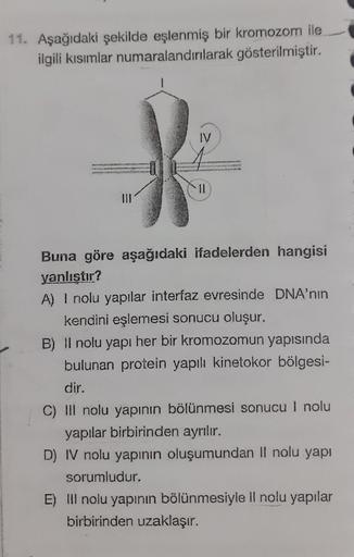 11. Aşağıdaki şekilde eşlenmiş bir kromozom ile
ilgili kısımlar numaralandırılarak gösterilmiştir.
HORROR
Buna göre aşağıdaki ifadelerden hangisi
yanlıştır?
A) I nolu yapılar interfaz evresinde DNA'nın
kendini eşlemesi sonucu oluşur.
B) Il nolu yapı her bi