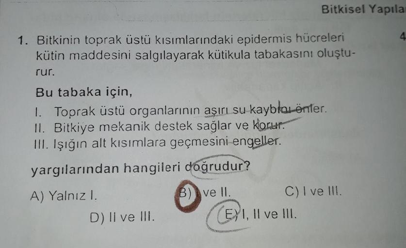 Bitkisel Yapila
1. Bitkinin toprak üstü kısımlarındaki epidermis hücreleri
kütin maddesini salgılayarak kütikula tabakasını oluştu-
rur.
Bu tabaka için,
1. Toprak üstü organlarının aşırı su kayblar önler.
II. Bitkiye mekanik destek sağlar ve korur.
III. Iş