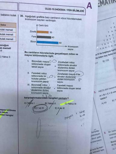 EMATIK
OL02-10.04DES04 / FEN BİLİMLERİ
babanın kulak | 30. Aşağıdaki grafikte bazı canlıların vücut hücrelerindeki
kromozom sayıları verilmiştir.
Baba
Canlı türü
T.
TA
Kulak memeli
Zürafa
30
kulak memeli
Fare
kulak memeli
Bizon
60
cocuğun
ak memeli
→ Kromo