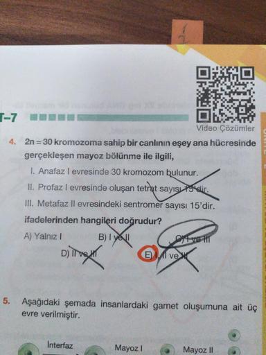 T-7
Video Çözümler
4. 2n 30 kromozoma sahip bir canlının eşey ana hücresinde
gerçekleşen mayoz bölünme ile ilgili,
I. Anafaz I evresinde 30 kromozom bulunur.
II. Profaz I evresinde oluşan tetrat sayısı f5 dir.
III. Metafaz Il evresindeki sentromer sayısı 1