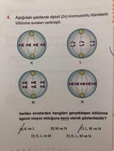 4.
Aşağıdaki şekillerde diploit (2n) kromozomlu hücrelerin
bölünme evreleri verilmiştir.
M
Verilen evrelerden hangileri gerçekleşen bölünme
tipinin mayoz olduğuna kanıt olarak gösterilebilir?
AkveL B) M ve N (6) L, M ve N
D) K, L ve M E) K, L, M ve N