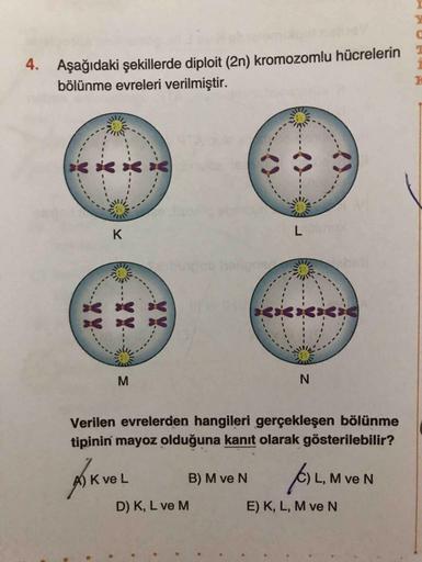 4.
Aşağıdaki şekillerde diploit (2n) kromozomlu hücrelerin
bölünme evreleri verilmiştir.
M
Verilen evrelerden hangileri gerçekleşen bölünme
tipinin mayoz olduğuna kanıt olarak gösterilebilir?
AkveL B) M ve N (6) L, M ve N
D) K, L ve M E) K, L, M ve N
