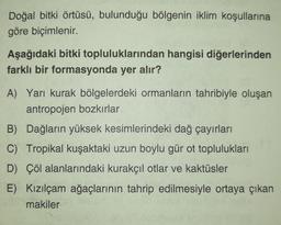 Doğal bitki örtüsü, bulunduğu bölgenin iklim koşullarına
göre biçimlenir.
Aşağıdaki bitki topluluklarından hangisi diğerlerinden
farklı bir formasyonda yer alır?
A) Yarı kurak bölgelerdeki ormanların tahribiyle oluşan
antropojen bozkırlar
B) Dağların yüksek kesimlerindeki dağ çayırları
C) Tropikal kuşaktaki uzun boylu gür ot toplulukları
D) Çöl alanlarındaki kurakçıl otlar ve kaktüsler
E) Kızılçam ağaçlarının tahrip edilmesiyle ortaya çıkan
makiler
B4